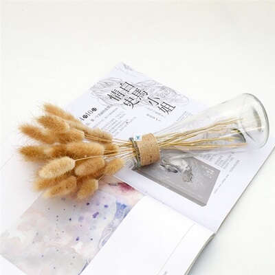 30pcs real pampas grass decor natural dried flowers rabbit