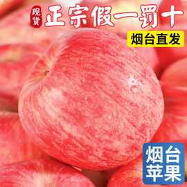 正宗山东烟台红富士苹果新鲜水果9斤当季整箱栖霞脆甜苹果10