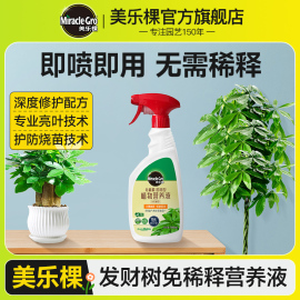 美乐棵免稀释发财树通用专用营养液叶面肥室内盆栽，植物富贵竹绿萝