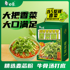 白象超香香菜面泡面方便面懒人速食袋装绿色蔬菜面饼含香菜盒装