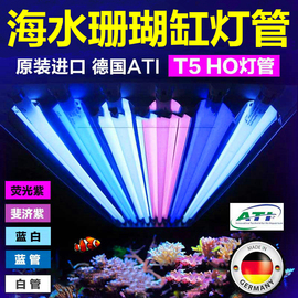 德国ATI海水缸T5HO珊瑚灯T5灯管海缸珊瑚缸防水蓝白斐济紫荧光紫