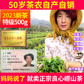 崂山绿茶2023新茶茶叶浓香型500g特级散装春茶豆香礼盒装青岛特产