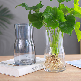 玻璃花瓶透明简约客厅插花摆件，桌面水培植物，器皿水养盆栽花卉容器