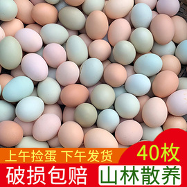 正宗土鸡蛋农家散养新鲜纯农村自养天然40枚草，鸡蛋笨鸡蛋乌绿壳蛋