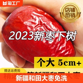 红枣新疆特级和田大枣新货免洗红枣干一级灰骏枣干货特产零食500g