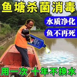 鱼塘净水剂池塘变清消毒杀菌药改底改善水质除绿蓝藻铁锈水净水宝