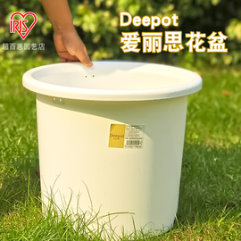 爱丽思IRIS彩色Deepot加深型花盆树脂花盆塑料花盆托14号特大花盆