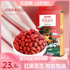 盖亚农场红皮花生米生新货，晒干花生种子，原味散装红衣花生800g