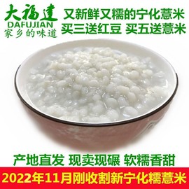 22年新收割福建宁化糯薏米薏苡仁薏米500g赛金沙小薏米仁红豆