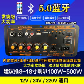 大功率低音炮功放板车载12v24v220v通用家用音响5V无线麦板8-18寸