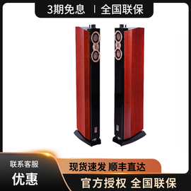 爱浪 DX-2 主音箱HIFI实木古典音响家庭影院音箱套装不含功放