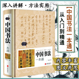 正版中国书法一本通汉字书法之美从入门到精通一本书籍掌握中国书法王羲之兰亭序青少年中国传世书法技法大全传世培训教材书法字帖