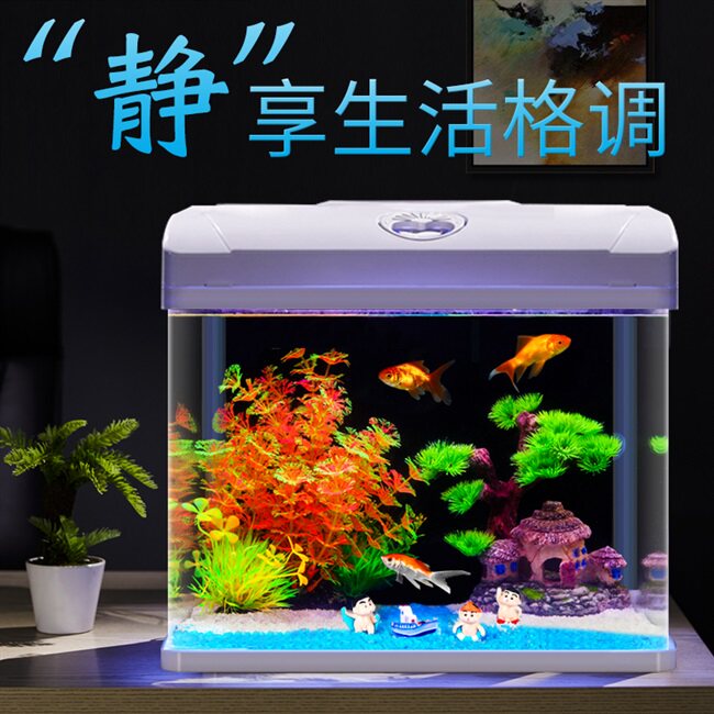 small table top fish tank glass goldfish aquarium decorate