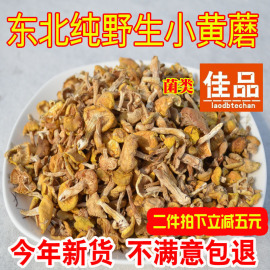 新货野生小黄蘑菇干货东北松树，黄油蘑丁山货香菇类农家土特产