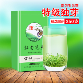 贵州茶叶都匀毛尖2024新茶 特级茶叶炒青绿茶春茶浓香型散装250克