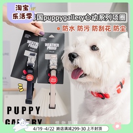 韩国puppygallery心动系列，狗狗项圈牵引绳宠物，外出遛狗小中型犬