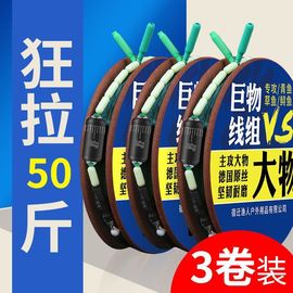 大物线组青鱼巨物主线组钓鱼用品鱼线子线双钩套装钓鱼线6.3/8.1