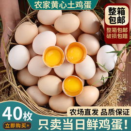 山东新鲜农村土鸡蛋40枚农家散养自养天然柴鸡蛋，笨鸡蛋草鸡蛋整箱