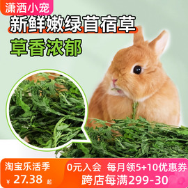 2023新烘干紫花苜蓿草干草毛重750g兔子龙猫豚鼠干草牧草兔子粮草