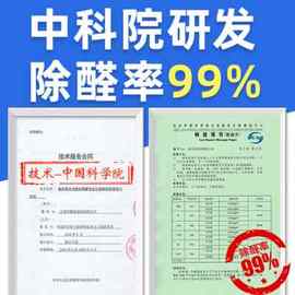 玛雅蓝银离子光态光触媒去除甲醛清除剂新房家用强力型吸味净化醇