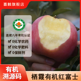 山东烟台苹果新鲜有机红富士，4.8斤无农药不打蜡不套袋孕妇水果