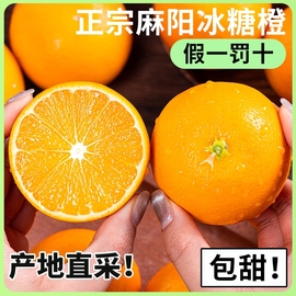 正宗湖南麻阳冰糖橙新鲜水果当季整箱，橙子年货果冻，甜橙纯甜手剥9