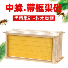 巢框中蜂蜂巢成品带框全套，养蜂工具蜂具