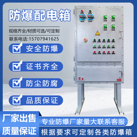 防爆配电箱控制箱空箱不锈钢检修照明仪表箱防爆动力接线触摸屏柜