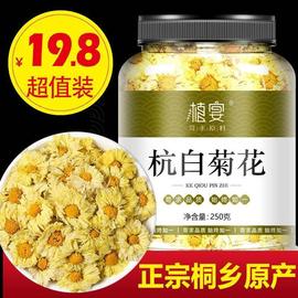 正宗菊花茶去火清热解毒胎菊杭菊杭抗白菊，特级清火桐乡正宗中