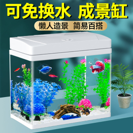 鱼缸客厅小型家用桌面，水族箱免换水自循环生态，迷你新型观赏金鱼缸