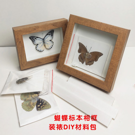 昆虫蝴蝶标本中空装饰相框亲子创意干花植物手工品diy材料