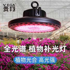 贵翔全光谱植物生长灯，多肉补光灯家用飞碟式led室内花卉仿太阳光