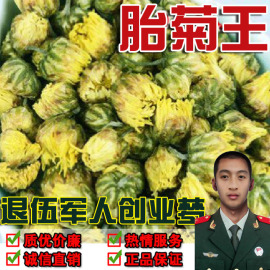 特级花草茶 新花桐乡特级头采胎菊王 胎菊 菊花茶杭白菊 50g