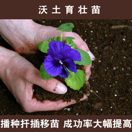 49多肉植物绿萝营养土泥炭土，盆栽土花土，土壤培养土阳台种菜土