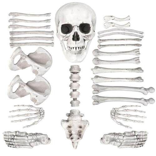 Halloween Prop 28pcs Bones Human Skeleton Body Parts Haunt