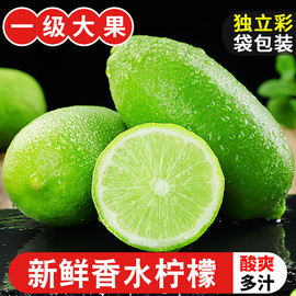 广东香水柠檬10斤新鲜现摘应当季水果青柠檬，奶茶店专用5