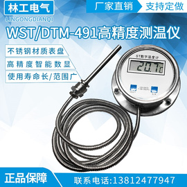 数显温度计带探头wstdtm-491高精度测温仪工业数字水温表