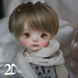 酒BJD2D1/6 bjd 6分娃娃  霜雀 2.5UD系列(2D21