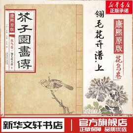 康熙原版芥子园画传山水卷画学浅说国画教材临摹画册工笔画新华文轩书店正版图书书籍畅销书 安徽美术出版社