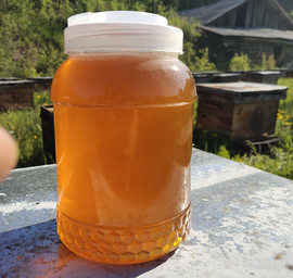 蜂蜜纯正天然农家自产百花蜜深山土蜂蜜，结晶孕妇洋槐峰蜜野生