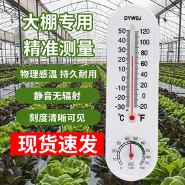 温湿度计大棚养殖专用温室蔬菜，种植家用室内外温度表检测器工业用