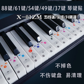 电子钢琴键盘通用贴纸透明音阶字组88键61键54键49键五线谱简谱贴
