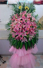 开业花篮 开张花篮 乔迁花篮 商务用花 庆典花篮上海市区免费配送,鲜花速递/花卉仿真/绿植园艺,商务用花,淘宝优惠券,粉丝福利购,淘宝优惠卷