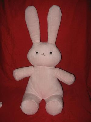 兔子樱兰高校公关部甜心前辈的