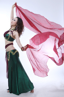 鸿舞衣绿30强烈感谢肚皮舞蹈明星倾情代表 百媚多娇