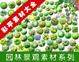 PSD园林景观后期植物素材 彩平素材795M 园林景观素材 彩色平面图