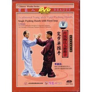 【天韵◆正版】传统杨氏太极推手-定步单推手 1DVD