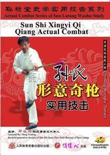 孙氏形意奇枪实用技击 孙禄堂武学实用技击 正版 1DVD 天韵