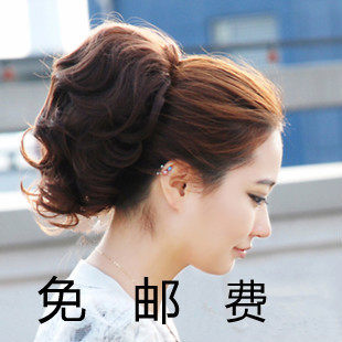 Extension cheveux - Chignon - Ref 248208 Image 1