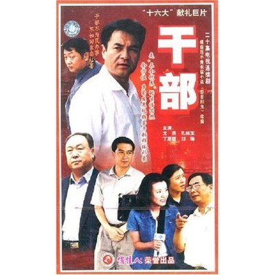 【天韵◆正版】俏佳人精品 干部 20VCD 尤勇 孔祥玉 丁嘉丽 刘琳